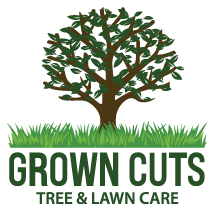 Treemovers, LLC - tree transplanting