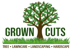 Treemovers, LLC - tree transplanting