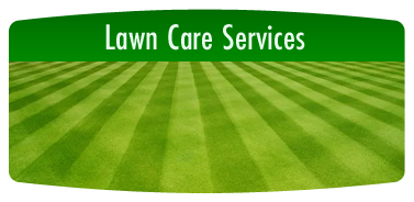 Lawn Care Services