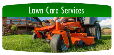Lawn Care Services