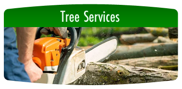 Tree Services