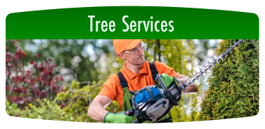 Tree Services
